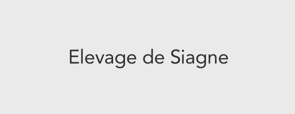 Elevage de Siagne